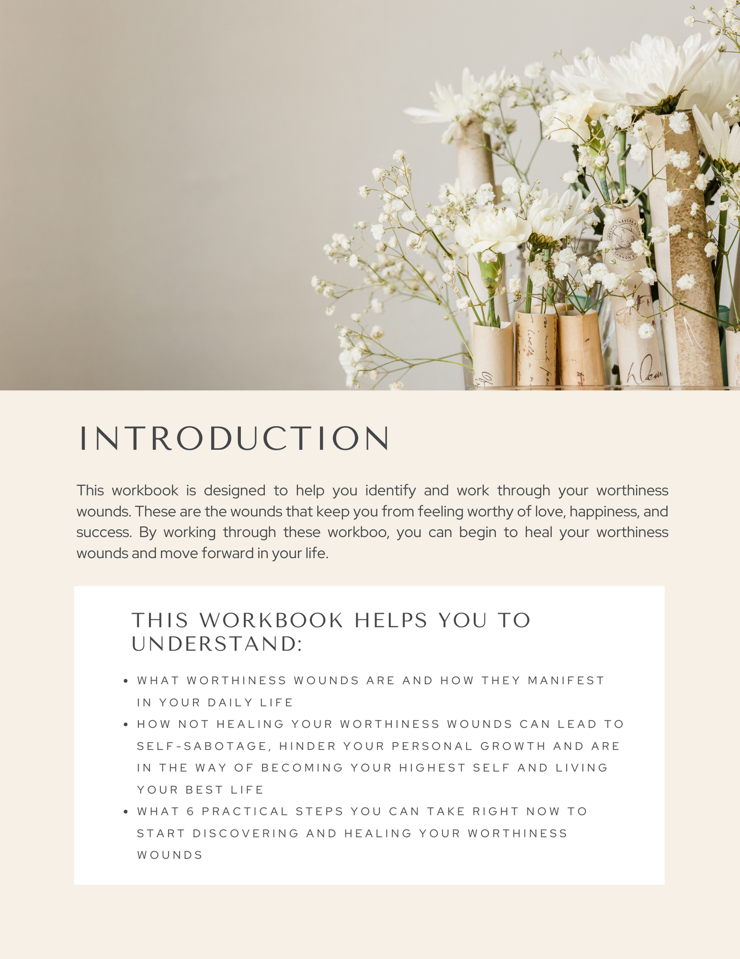 Heal Your Worthiness Wounds Workbook & Journal