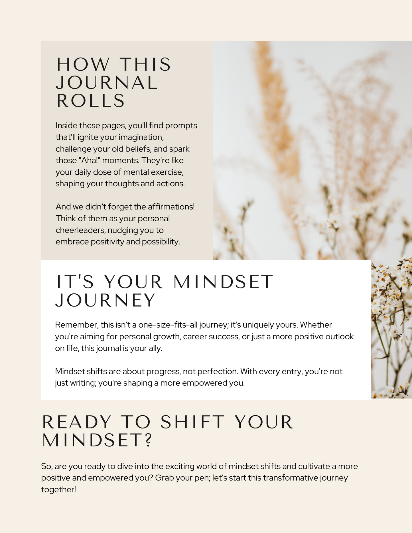 Mindset Shift Journal