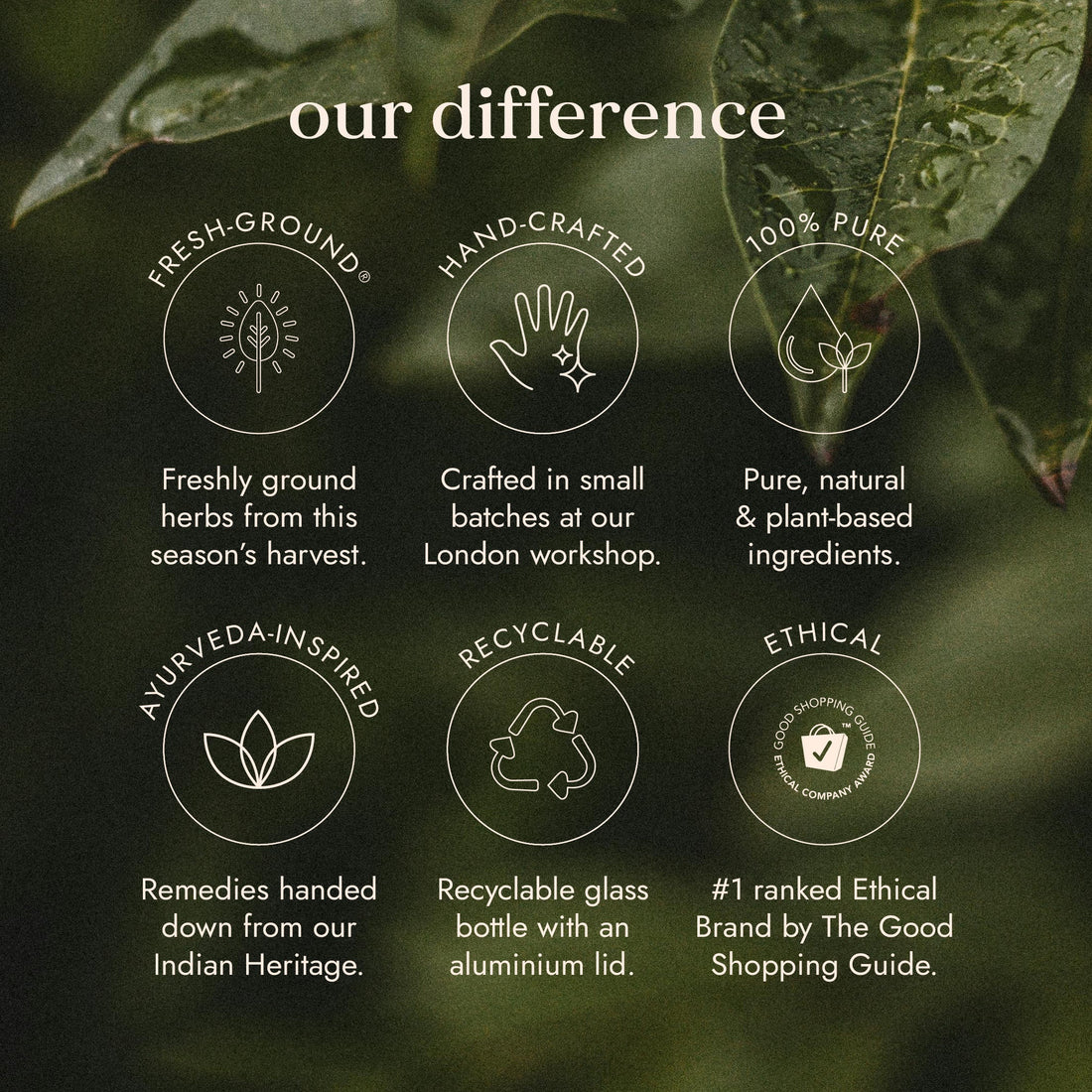 Ashwagandha Blend with KSM-66®