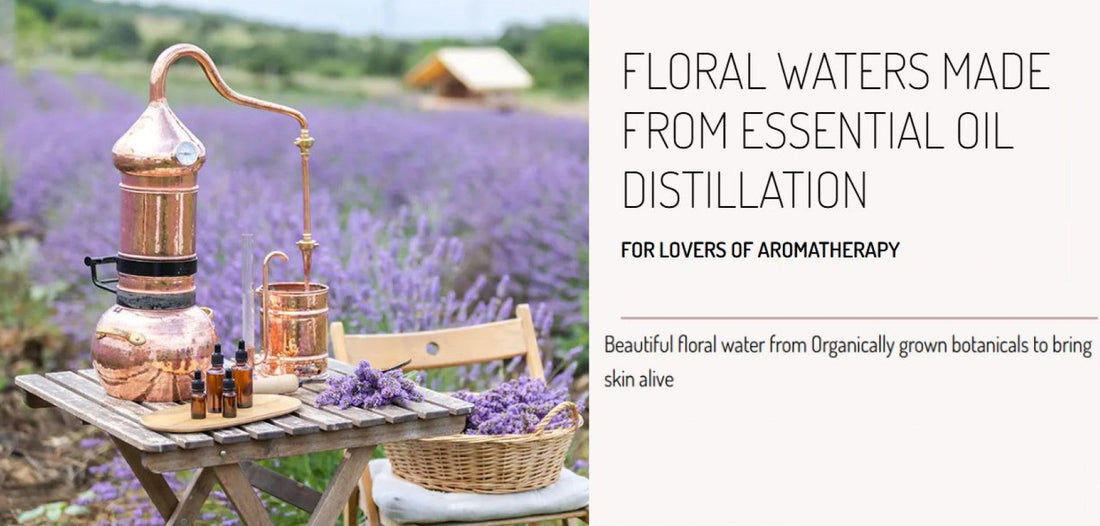 Chamomile Floral Water - Calming the Skin and the Mind