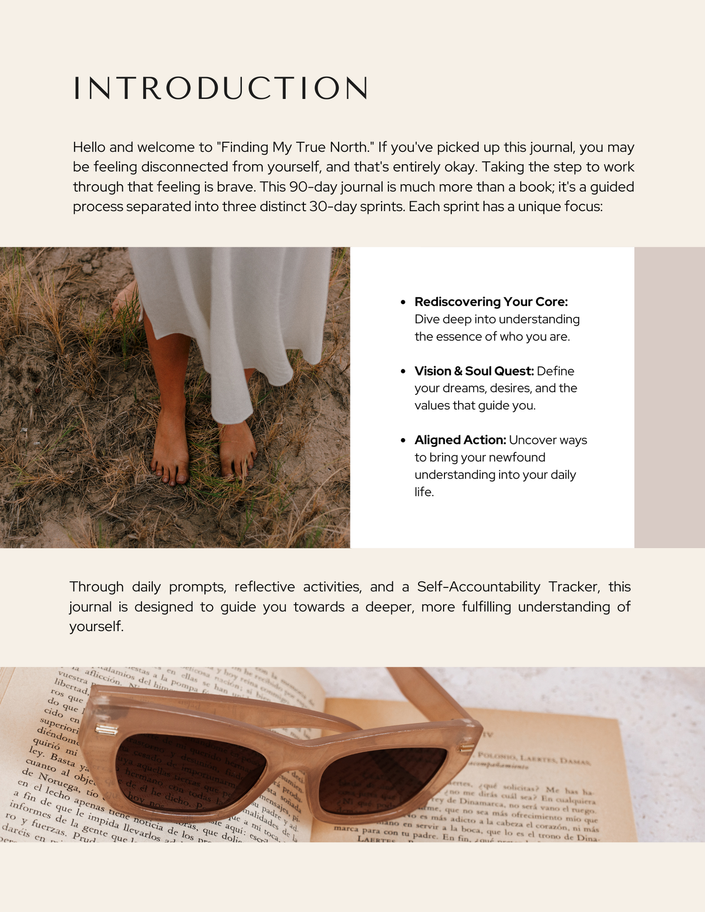 Finding My True North: A 90-Day Guide for Self-Reflection and Discovery