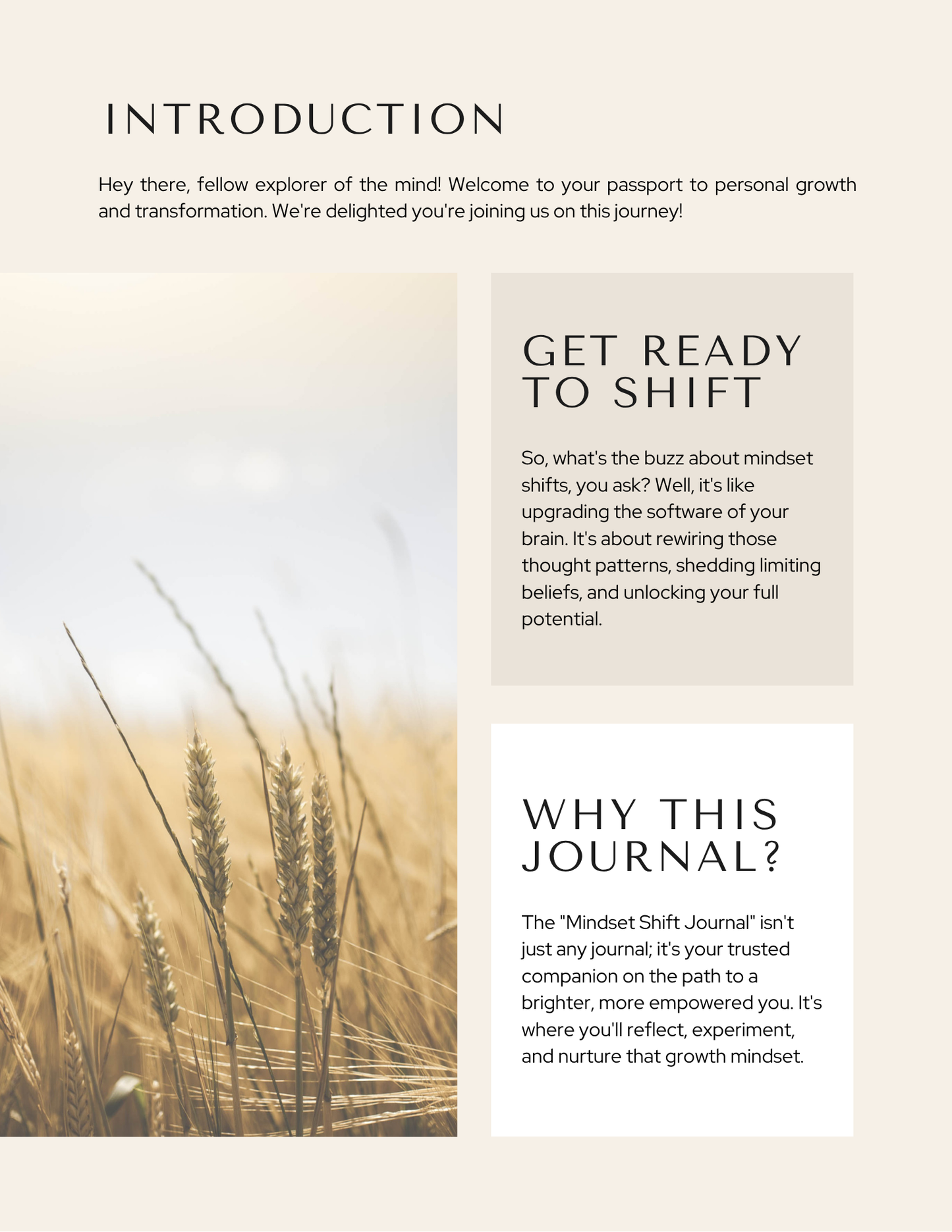 Mindset Shift Journal